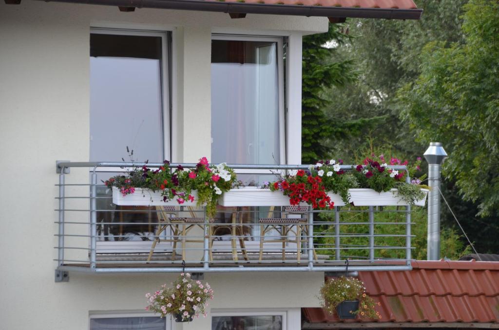 Hotel Zur Bruecke Greifswald Exteriér fotografie